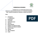 Informe de Topografia Fir