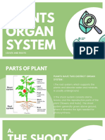 1.2 Plants Organ System