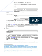 Contract Individual de Munca - Model Complex Rubinian