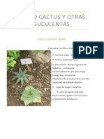 Curso Cactus y Otras Suculentas