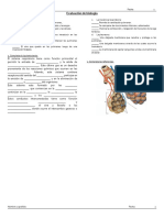 Evaluacion S. Respiratorio