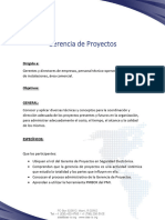 Gerencia de Proyectos