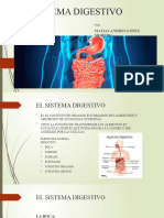 EL SISTEMA DIGESTIVO