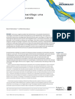 Leishmania and The Macrophage - Podinovskaia2015.en - PT