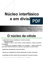 Cópia de 04 Núcleo Interfásico e em Divisão