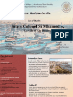 Analyse de Site (AIN BENIEN)