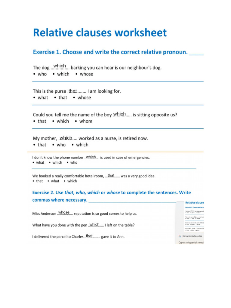 Relative Clauses | PDF