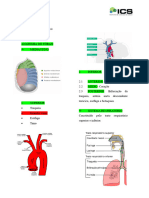 ANATOMIA DO TÓRAX - Atualizado