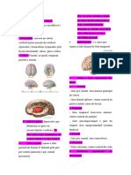 Resumo Neuroanatomia