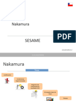 Nakamura Criterios SESAME by PGF