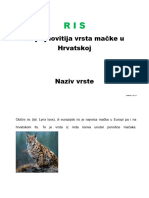 Najtajnovitija Vrsta Mačke U Hrvatskoj: Stranica 1 Od 13