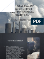 Smog Oraz Kwaśne Deszcze - Efekt Zanieczyszczenia Powietrza: Natalia Skrzypiec Ioze