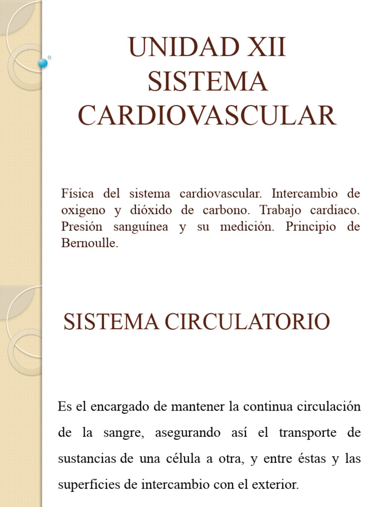 Sistema Cardiovascular Pdf Sistema Circulatorio Corazón