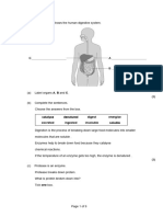 Enzyme Blood Exam Qs