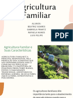 Agricultura Familiar: Alunos: Beatriz Soares Gabriela Frantz Rafaela Nunes Luis Felipe