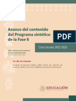 Avance Programa Sintético Fase 6-WORD