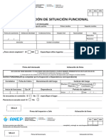 Declaración de Situación Funcional