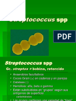 Tema 10 Genero Streptococcus