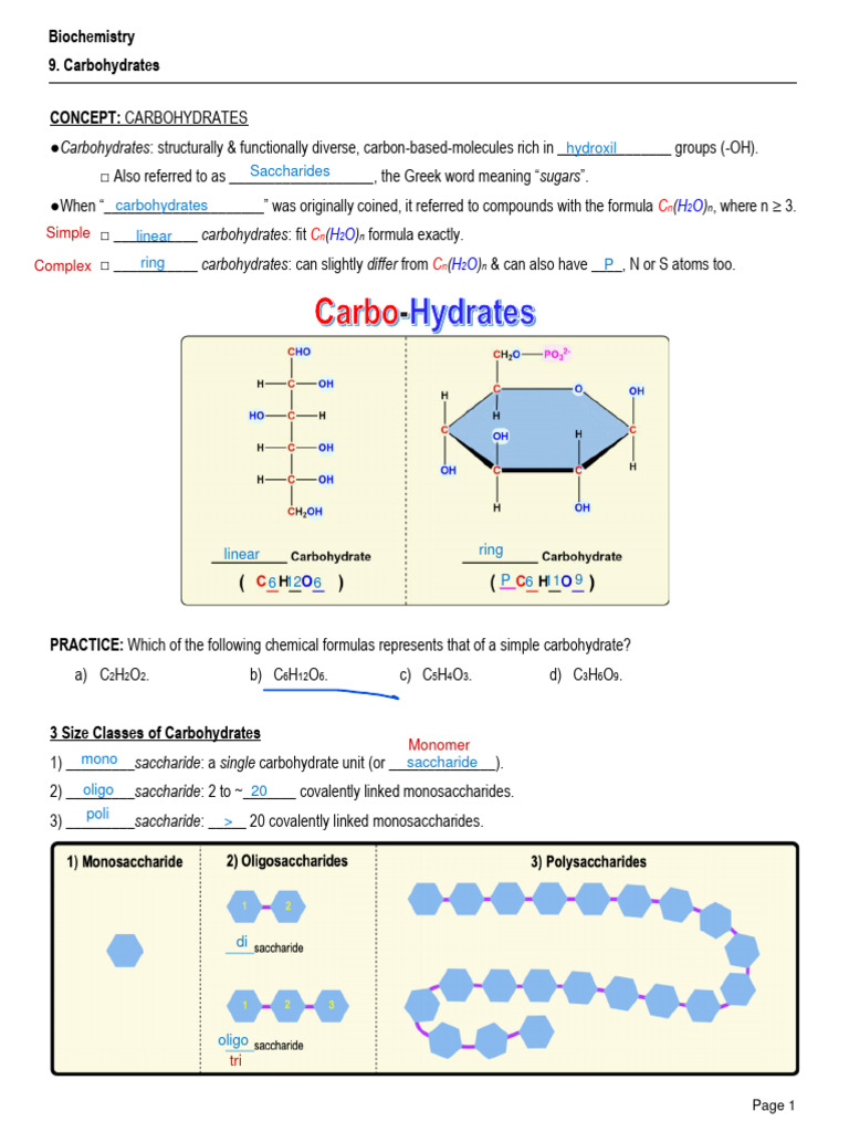 Understanding Carbohydrates and Monosaccharides | PDF