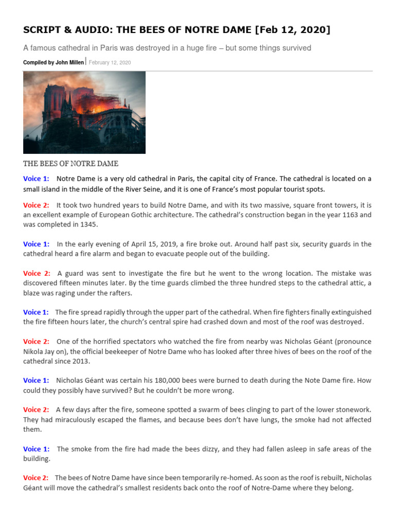 Surviving Bees of Notre Dame Fire | PDF