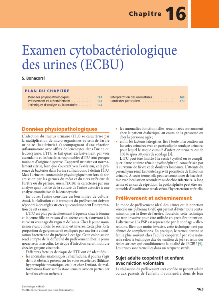 ECBU | PDF | Infection urinaire | Urine