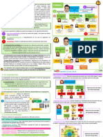 Texto Estructura - Organigrama