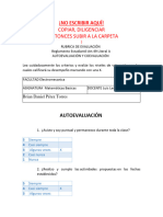 Autoevaluacion y Coecaluacion Brian Perez