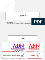 Tema 4 - Parte 2