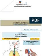 Anatomia Do Sistema Respiratório 2019