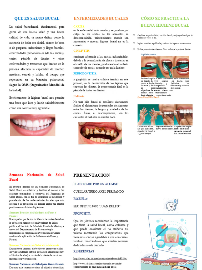 Que Es Salud Bucal Litsus Pdf Higiene Oral Ramas De Odontología