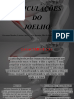 Articulação Do Joelho