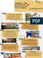 Cadena de Distribución de Mercancías Variadas