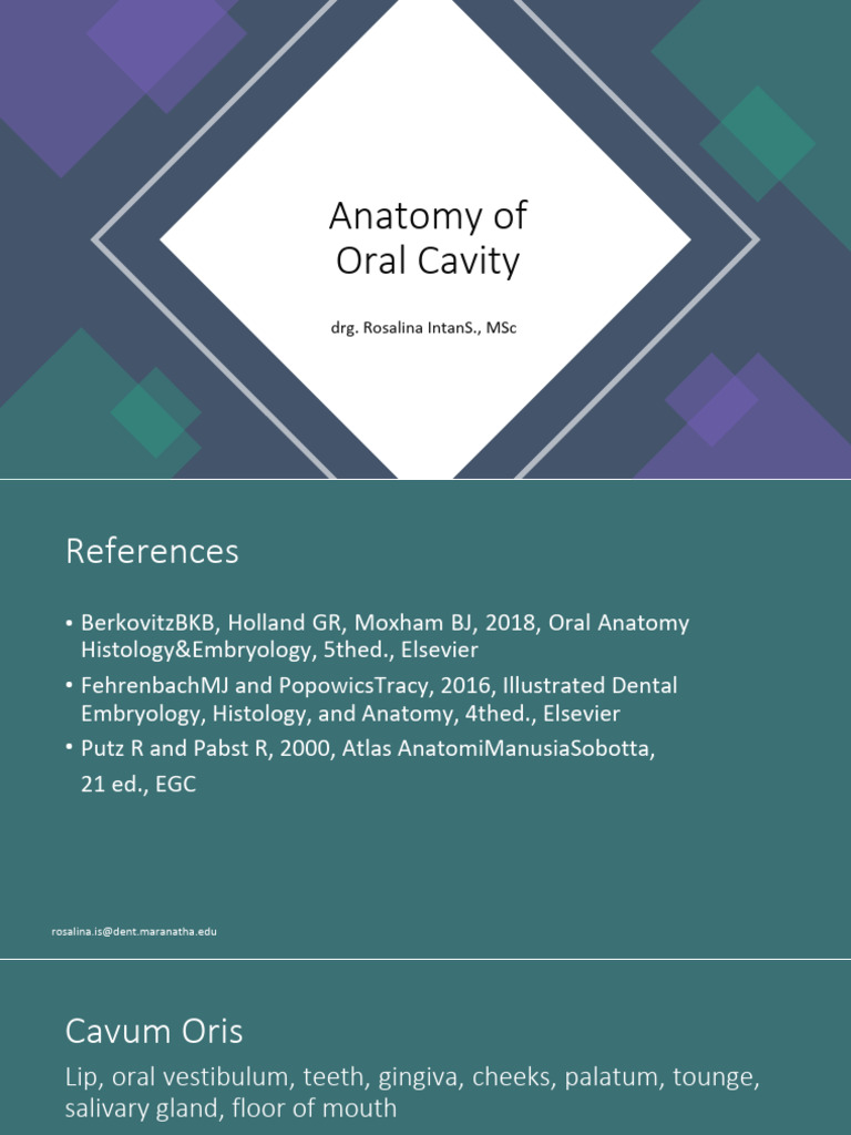 What Does Cavity Look Like On A Molar? Your Comprehensive Guide To Oral Health! - 2dh1z3h