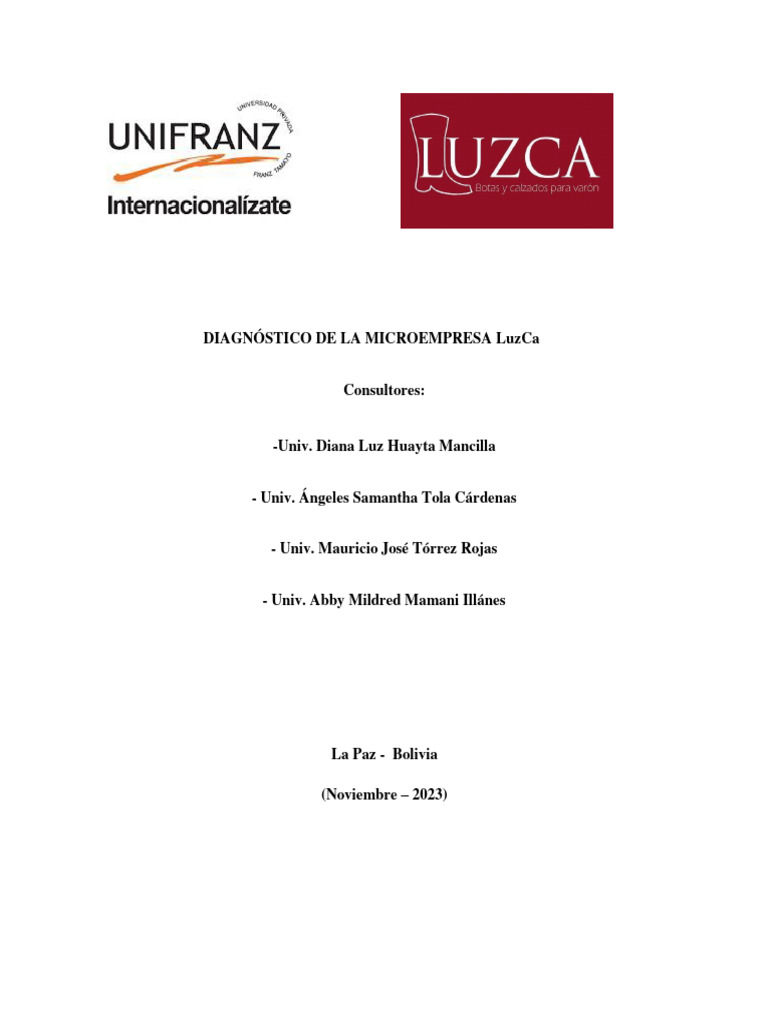 Luzca Fin | PDF | Metodología de encuesta | Marketing