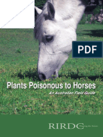 Plants Poisonous To Horses & Livestock