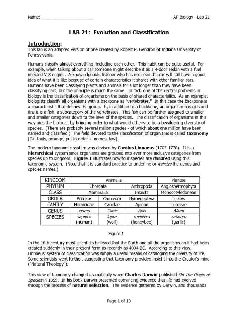 LAB 21 Evolution and Classification PDF Taxonomy (Biology) Species