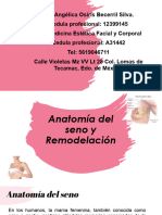 Anatomia Del Seno y Remodelacion
