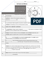 Cell Cycle and Mitosis Worksheet