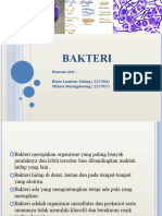 Bakteri - 1