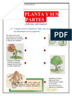 La Planta y Sus Partes Lunes 14 de Setiembre 2020