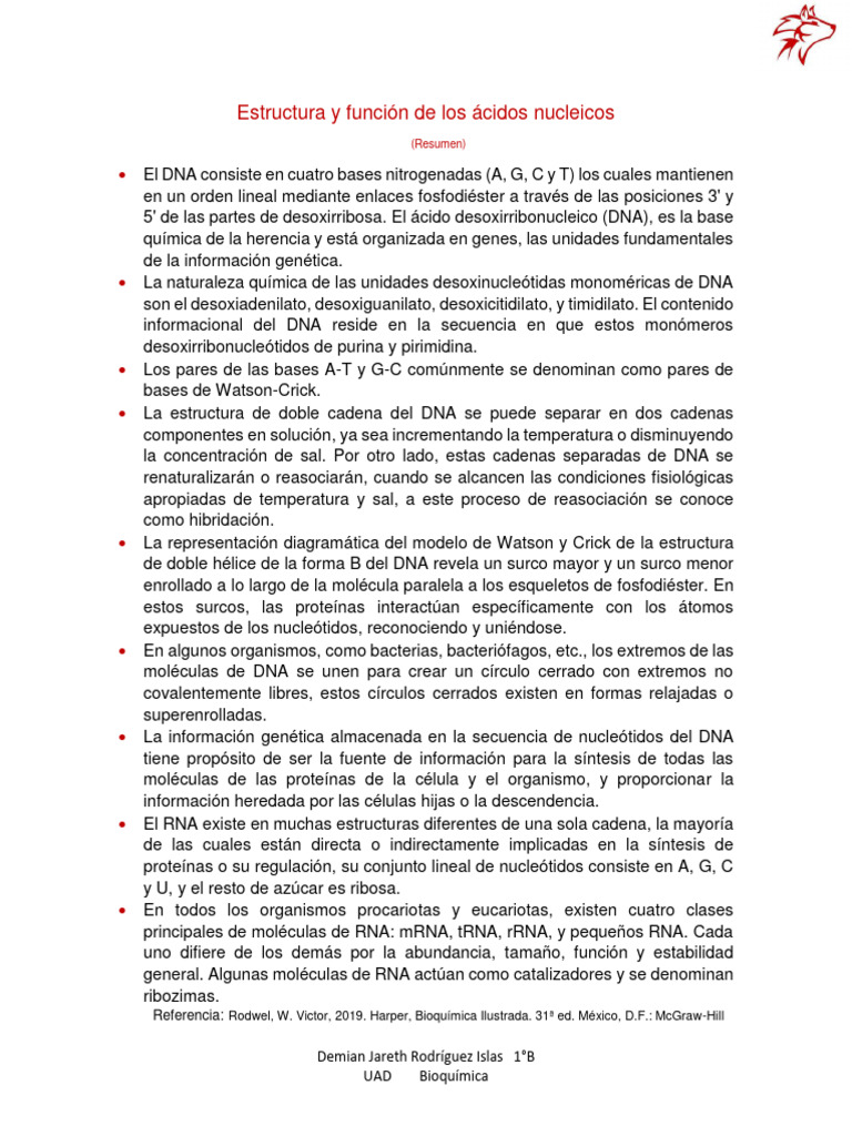 Estructura y Función de Los Ácidos Nucleicos (Resumen) | PDF | Adn | Rna