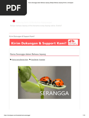 Bug xonasida katta kokraklar