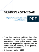 Clase 12 Neuroplasicidad 2023