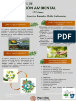 Jueves DDA - Aspecto e Impactos Medio Ambientales