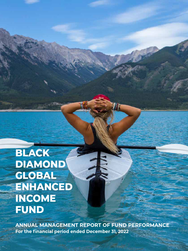 2022 Annual Fund Performance Report | PDF | Investment Fund | Investing