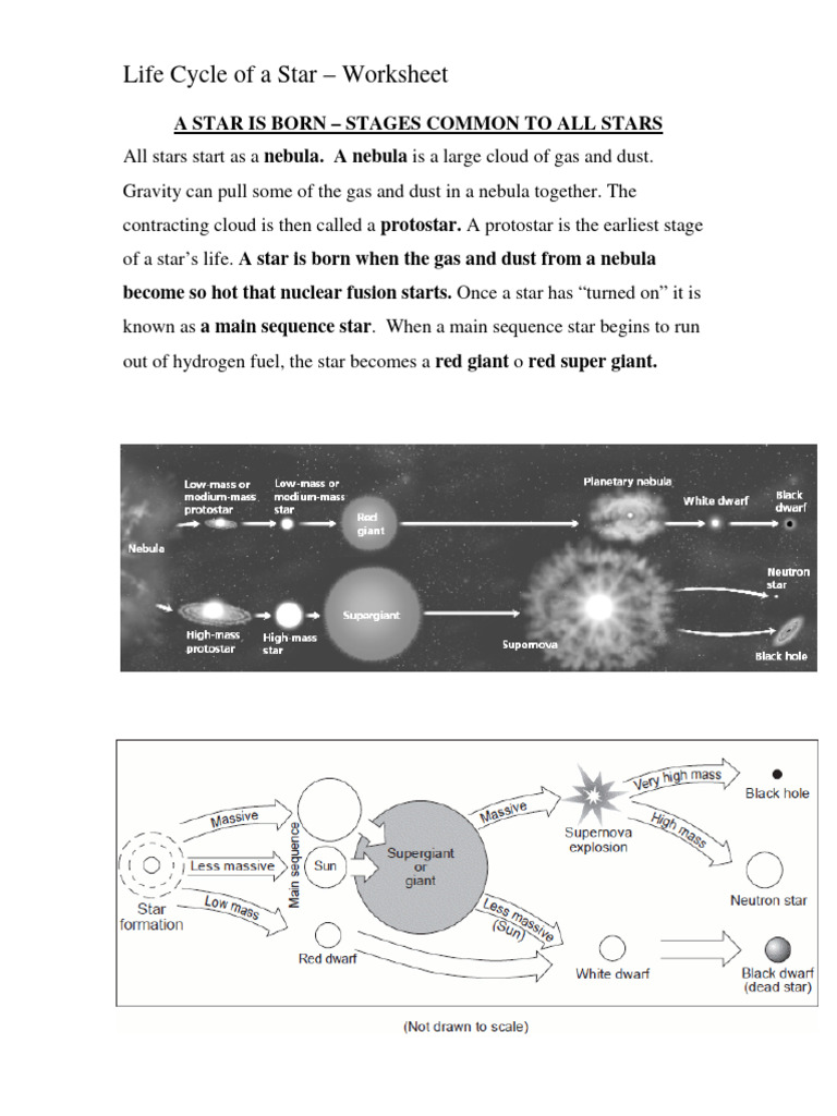 life cycle of astar worksheet