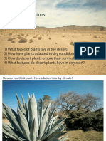 Desert Plants Slideshow