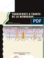 Movilidad Atraves de La Membrana
