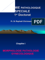 Anapath sp. gynécologie par Prof Dr Chirimwami