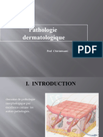 Pathologie Dermatologique - 2